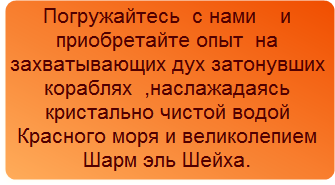 Что такое морское сафари. Смотреть фото Что такое морское сафари. Смотреть картинку Что такое морское сафари. Картинка про Что такое морское сафари. Фото Что такое морское сафари